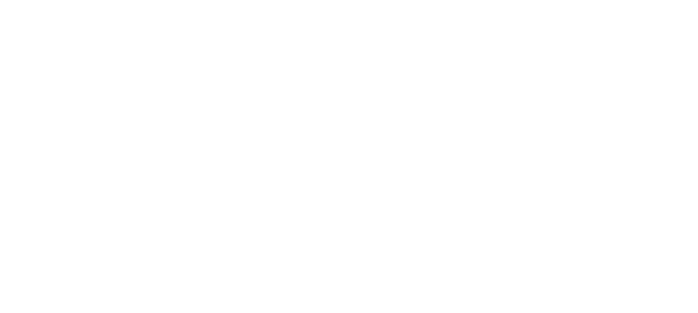 Toronto Escorts Logo